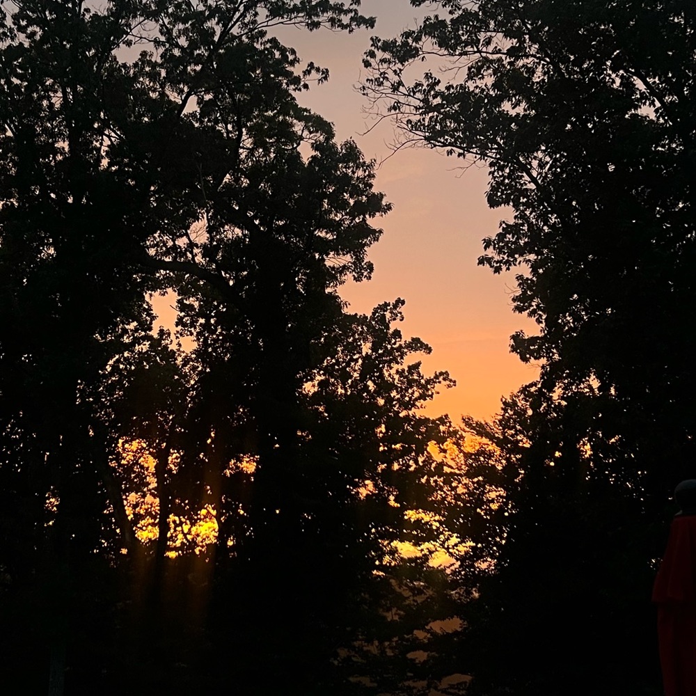 Meet your Posher, Melanie